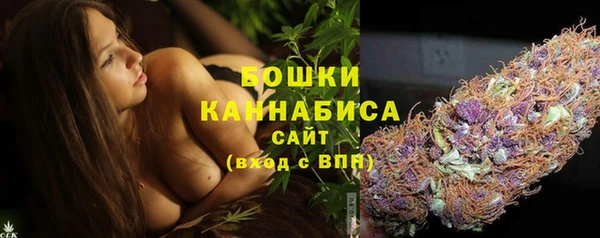 стафф Нефтегорск