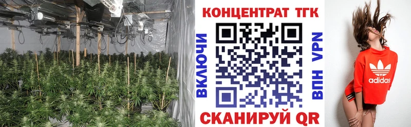 ТГК концентрат  Чистополь 