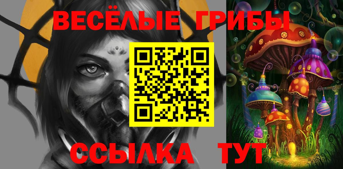 Галлюциногенные грибы Psilocybe  купить наркотик  Чистополь  Вход с VPN 