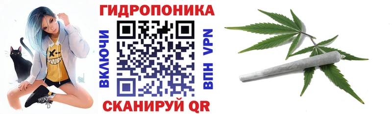 где купить наркотик  Чистополь  Каннабис план 